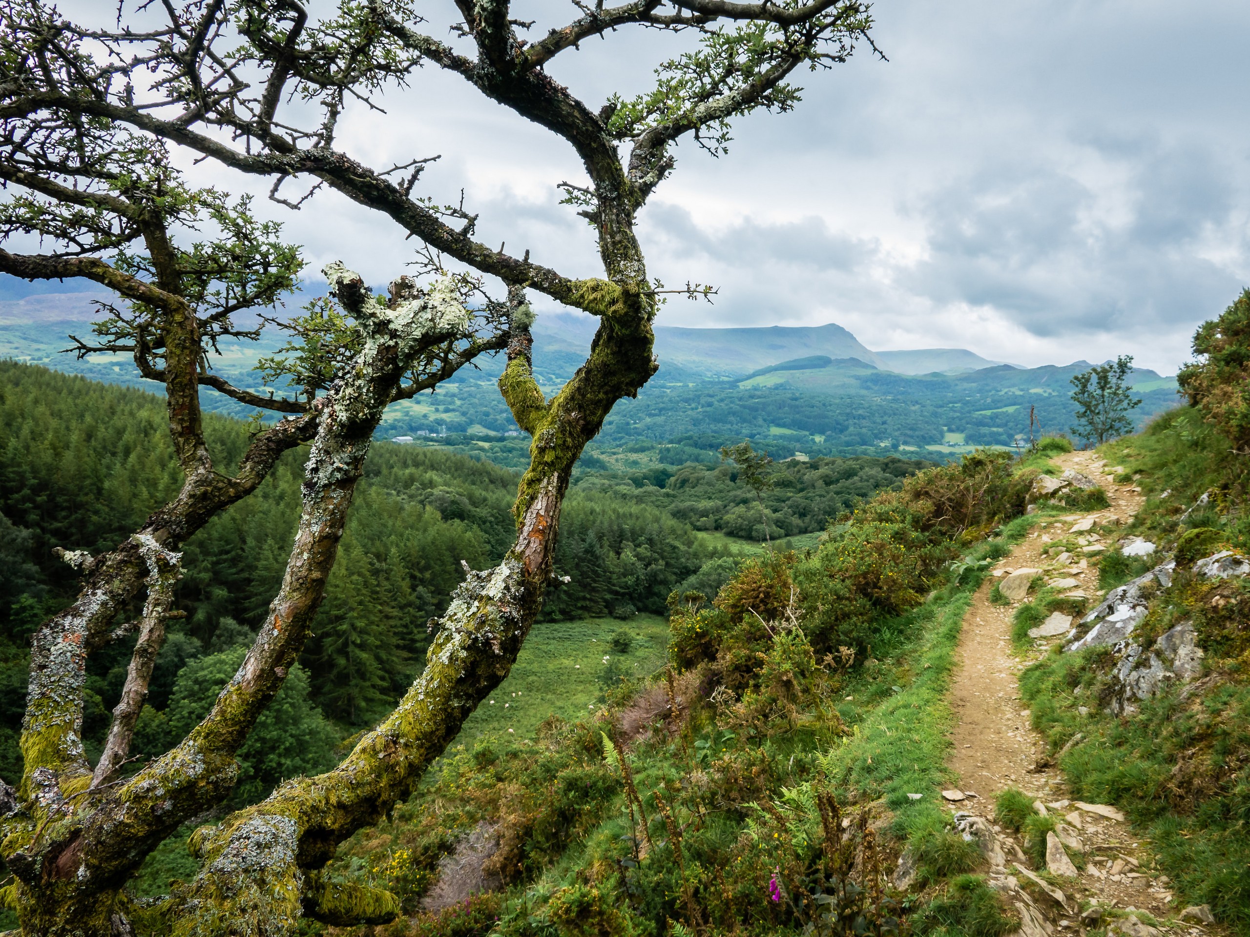 Walking the Snowdonian Slate path in Wales