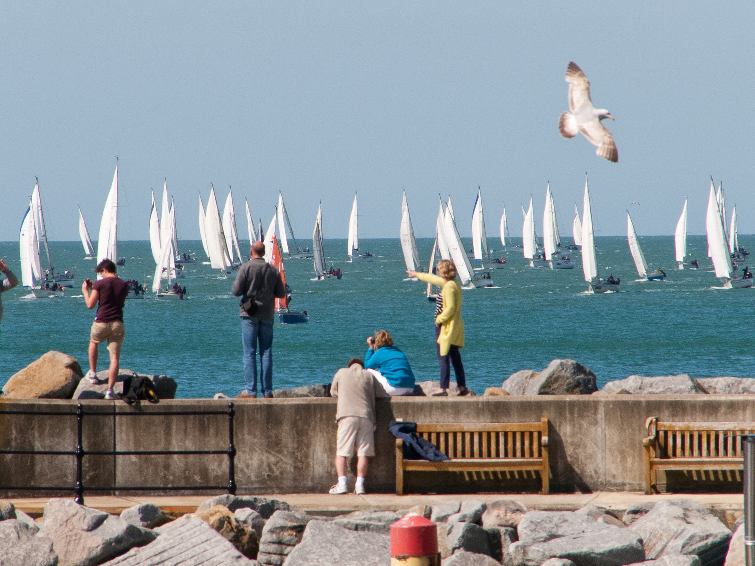 (c)visitisleofwight.co.uk - Ventnor Harbour