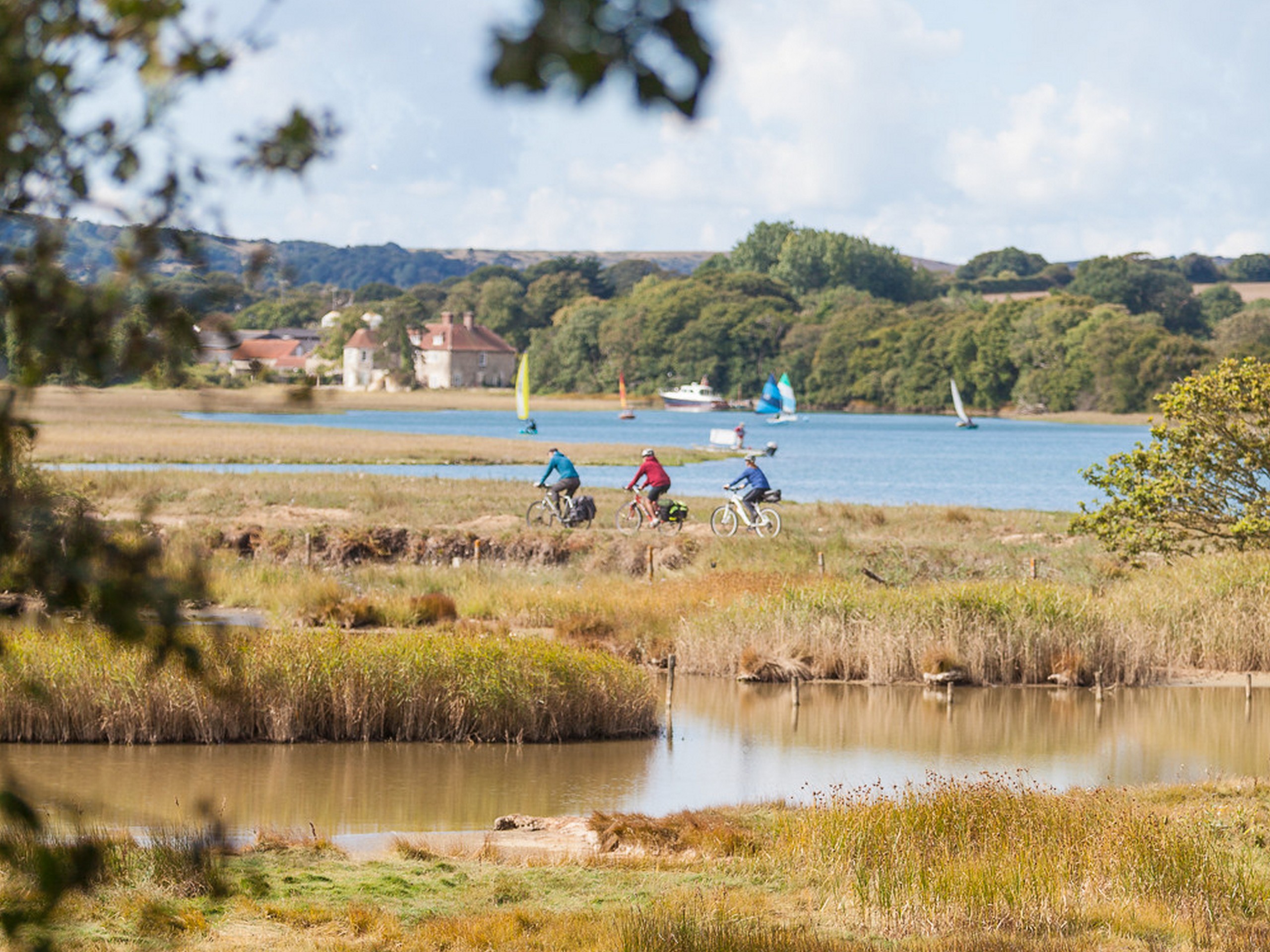 (c)visitisleofwight.co.uk - West Wight marshes