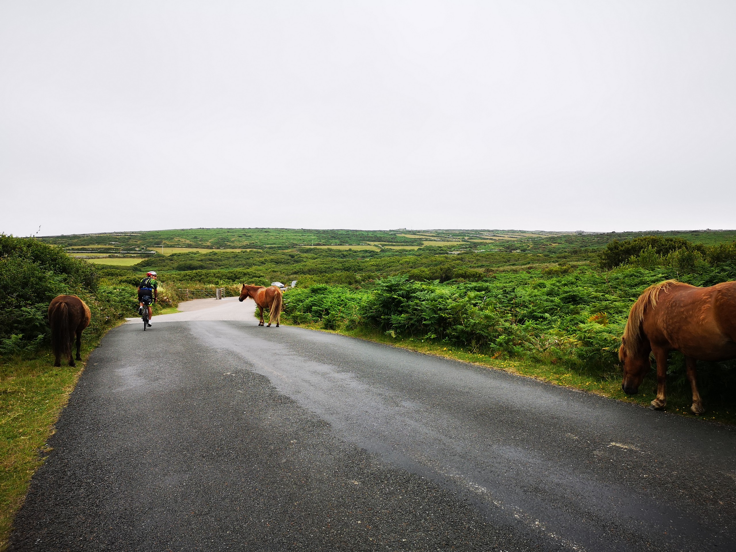Self-Guided Cycling Tour in Cornwall 27