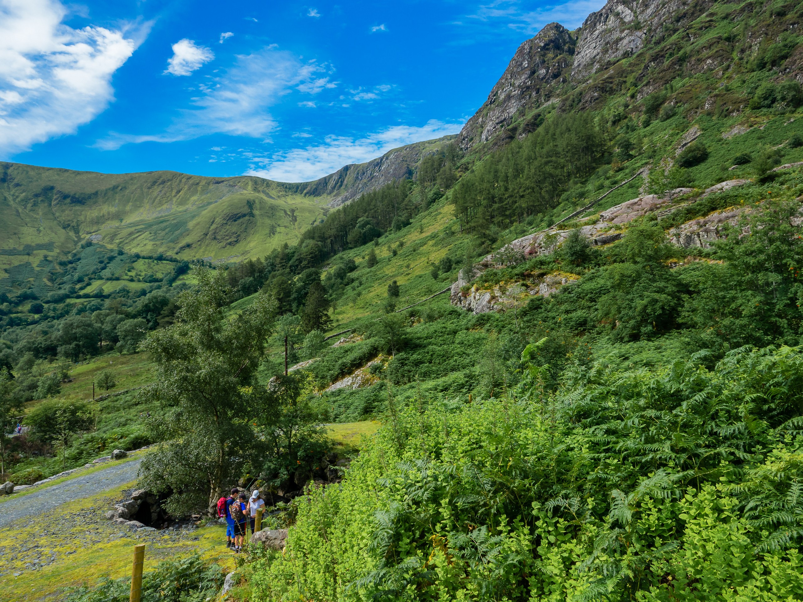 Beautiful Welsh countryside seen while on a walking path