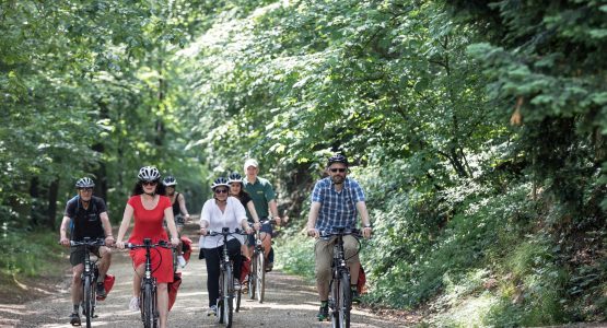 Group of bikers on Rhine River path