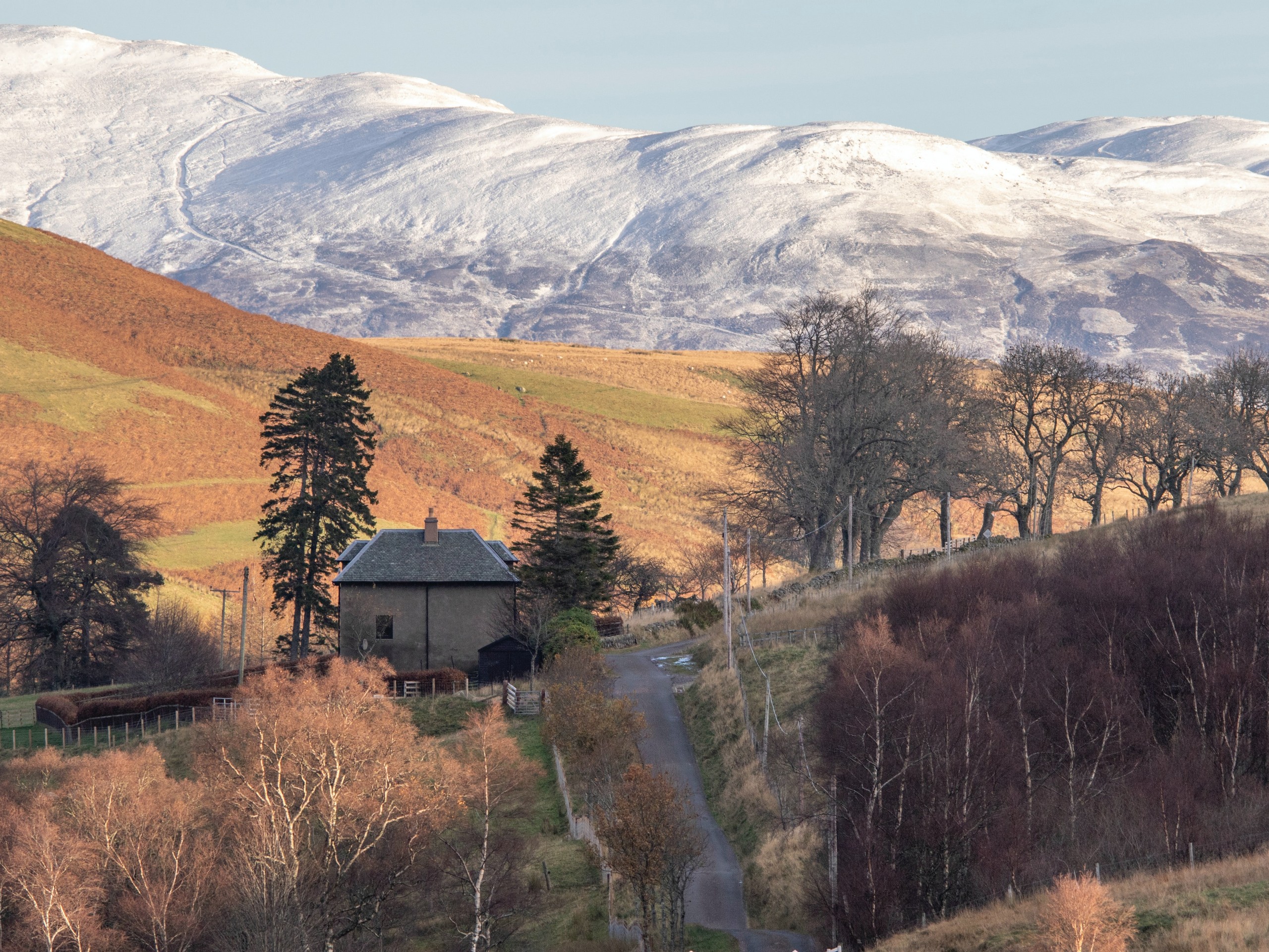 Scottish nature views along the Castles and Lochs trail