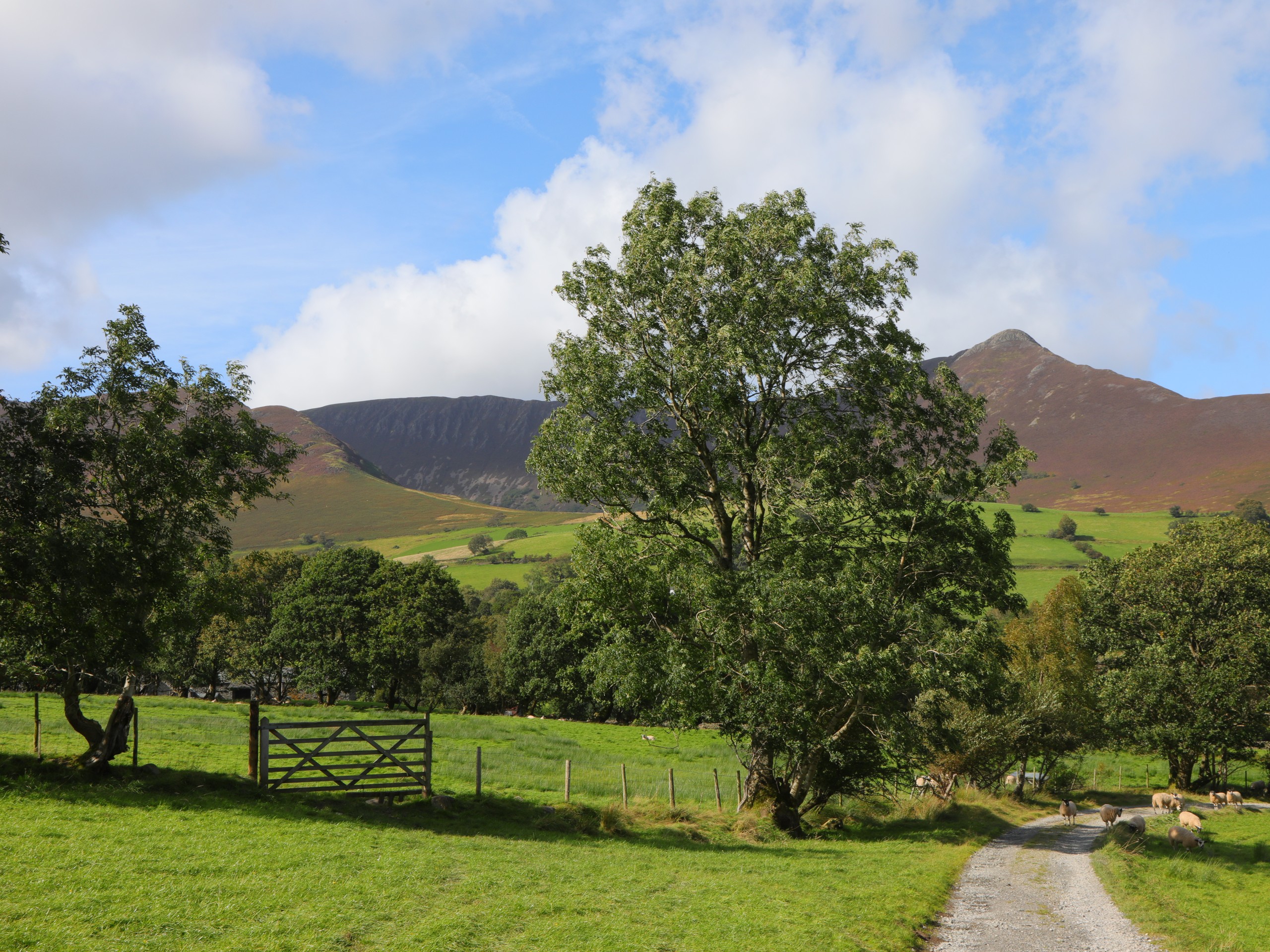 Walking on the beautiful path in the Lake district