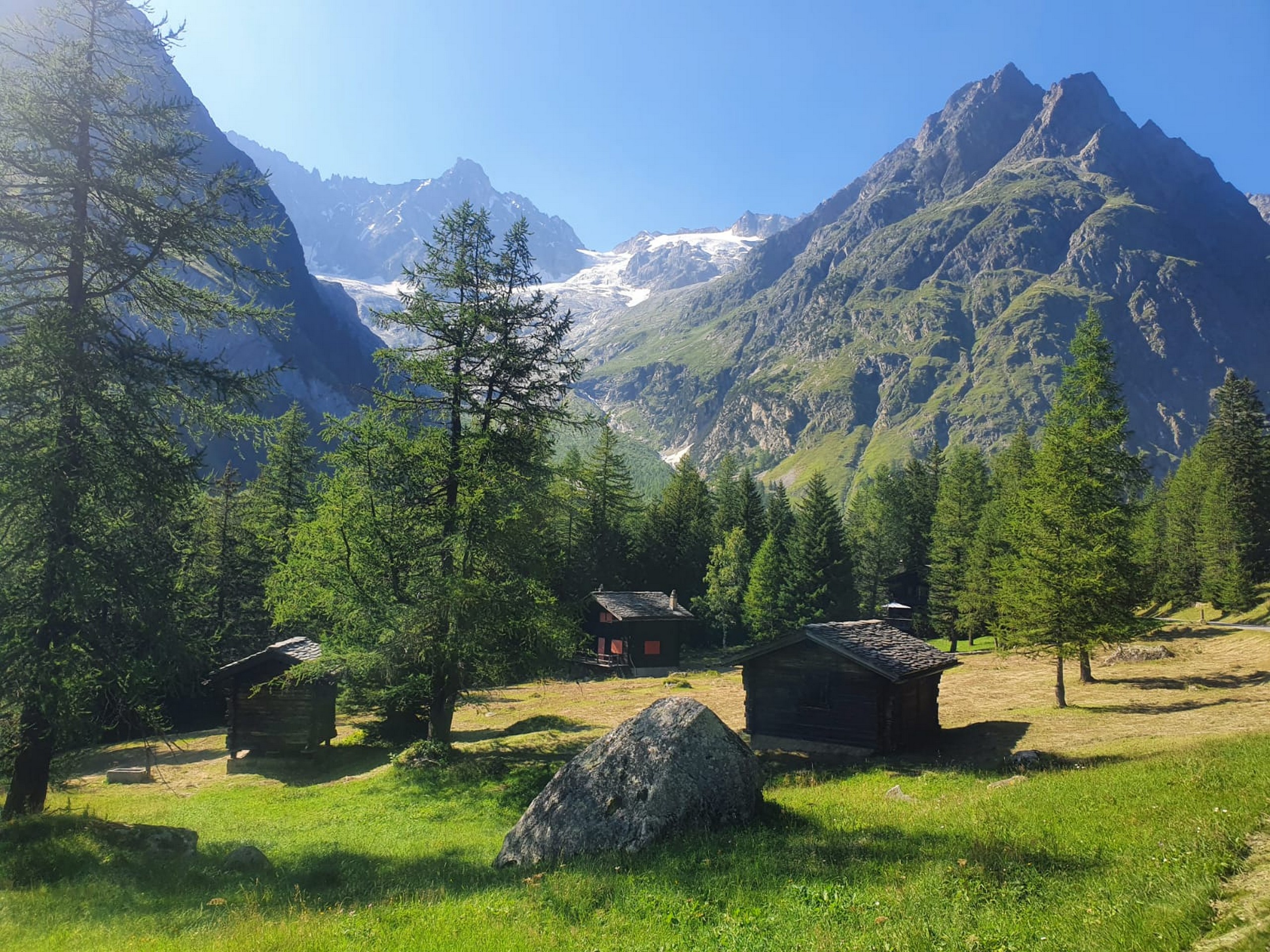 Beautiful alpine meadows in French Alps