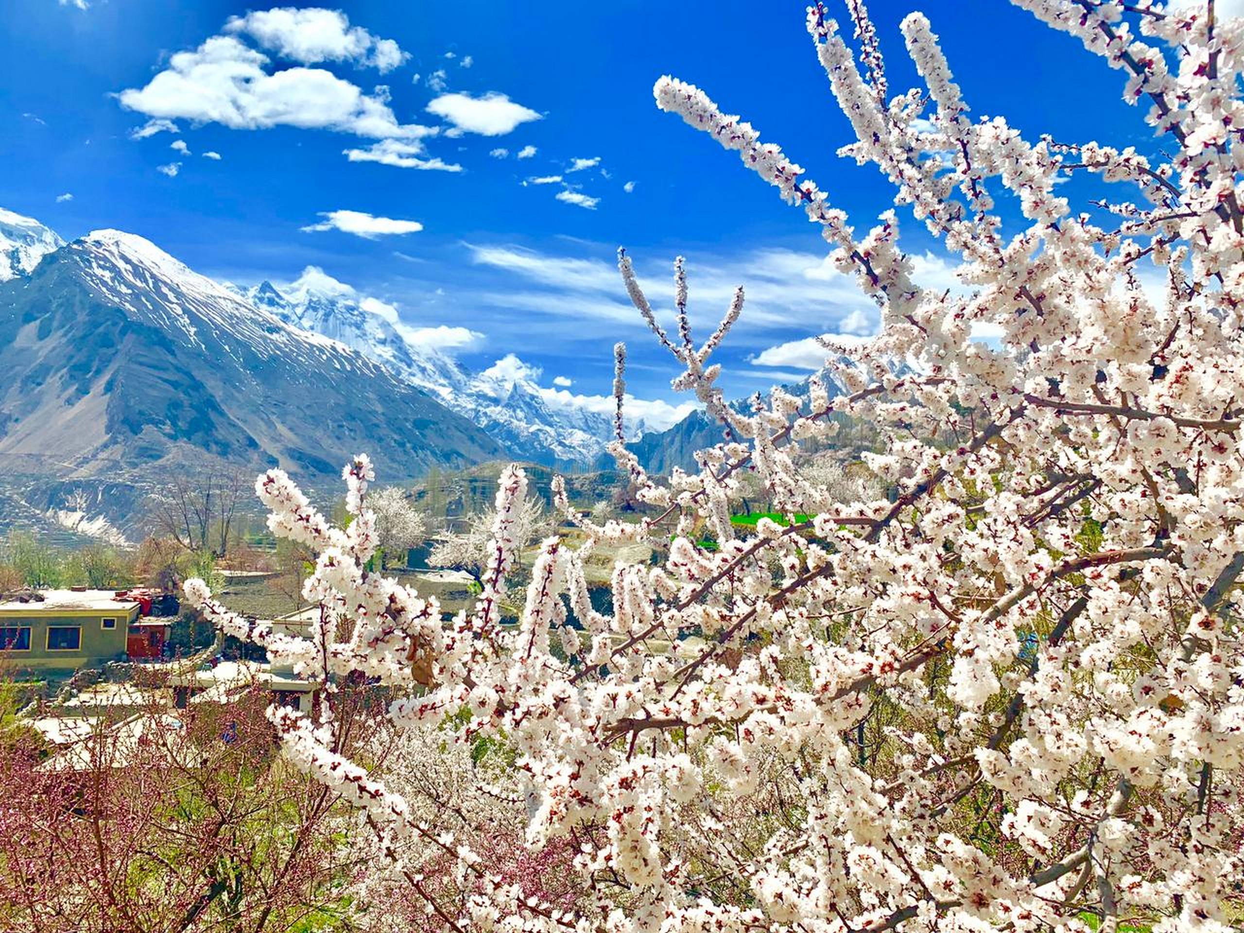 Hunza Spring in Pakistan