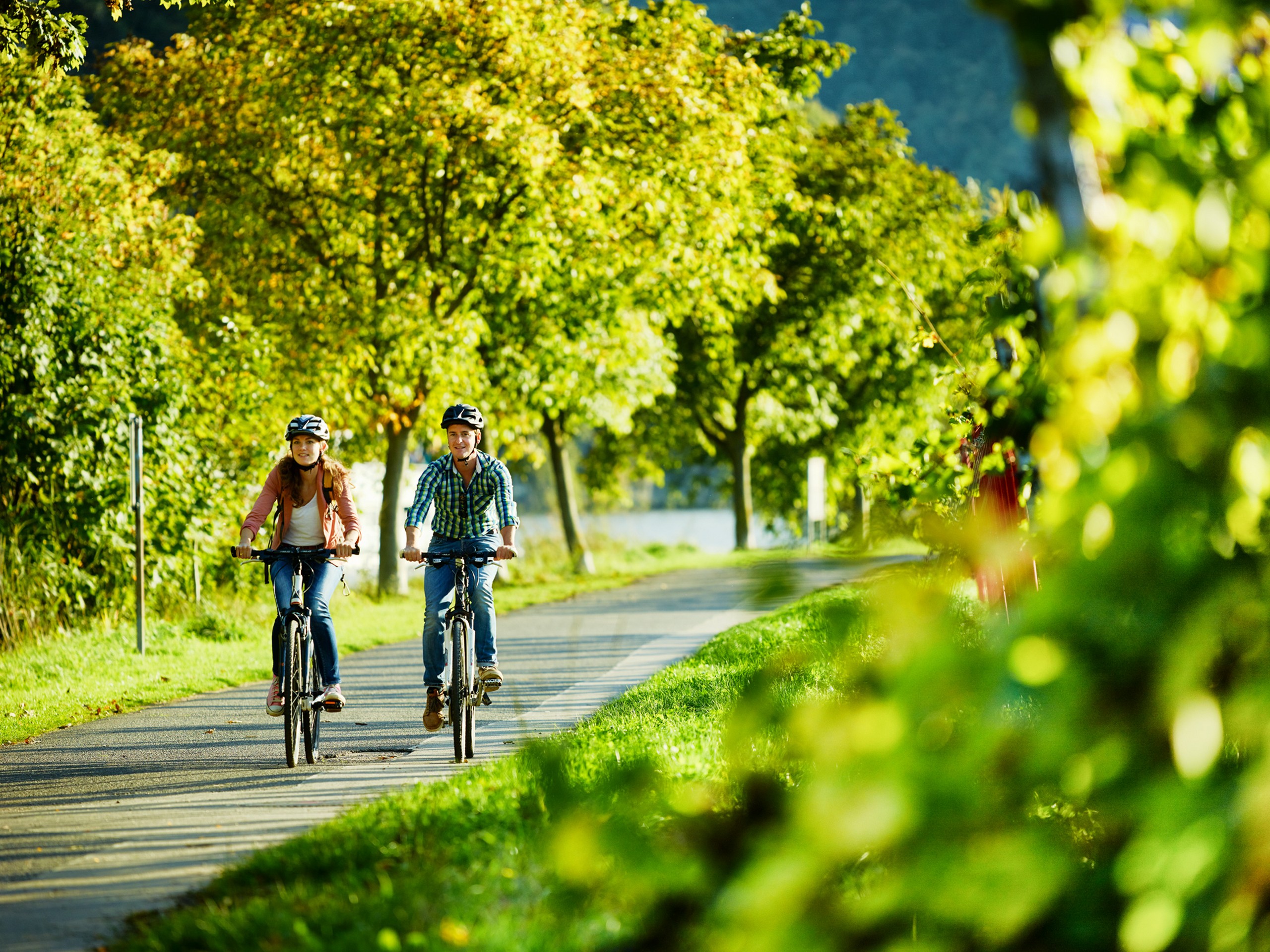 Cycling the vineyards along the Moselle River