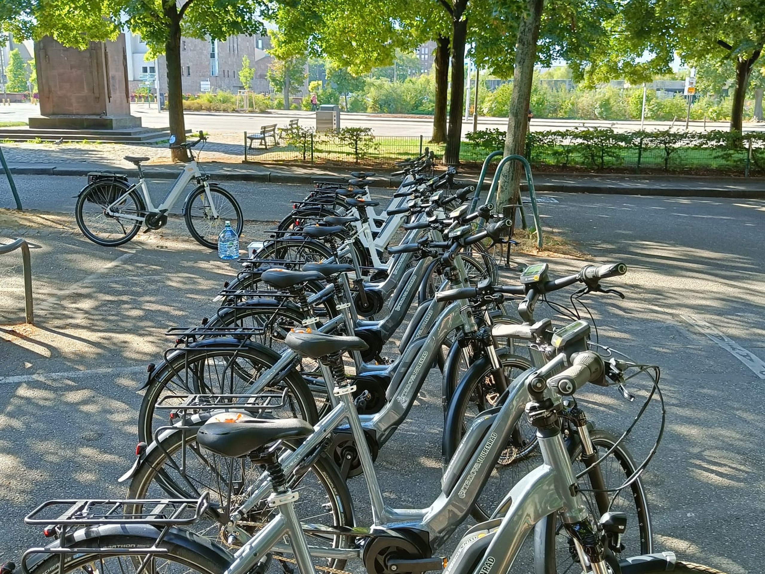 Lake Constance Bike Tour 9