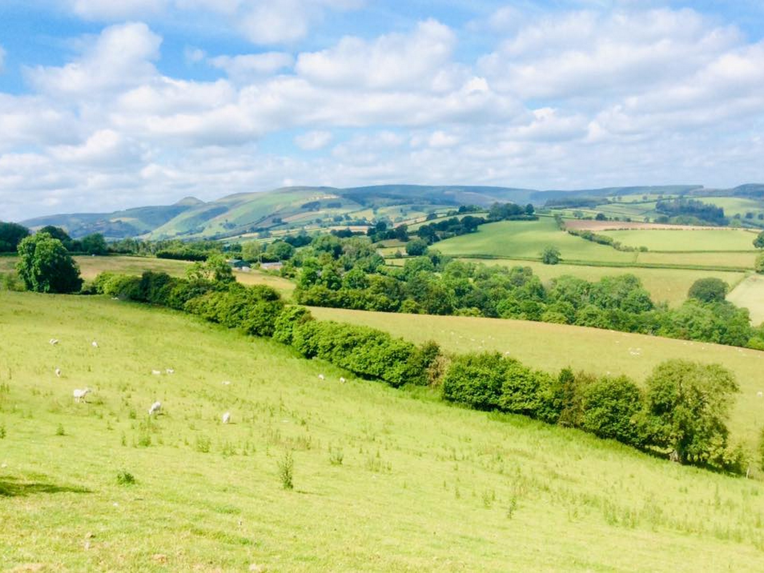 Offa's Dyke - John Millen July 2019 (15)