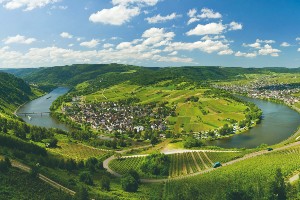 6-day Moselle River Bike Tour