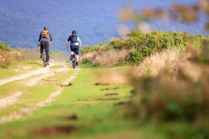 Isle of Wight Cycling Tour