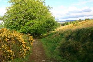 John Muir Way Walking Tour