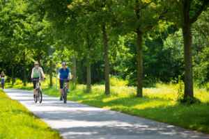 Main River Bike Tour: Würzburg to Frankfurt