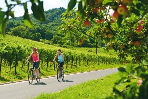 7-Day Moselle River Bike Tour