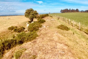 Offa’s Dyke Path South Trail
