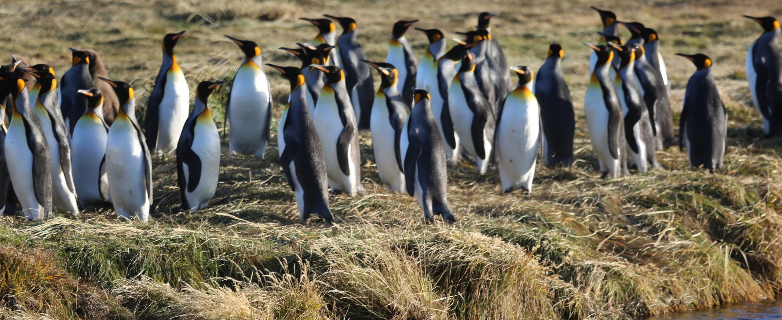 5-Day Tierra del Fuego Mountain Biking Tour