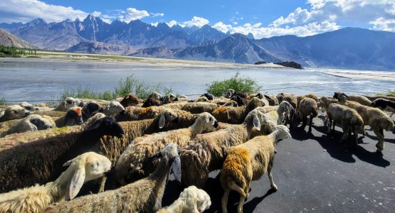 The Grand Traverse of Baltistan