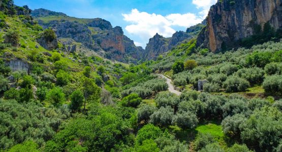 8-Day Andalusia Cycling Tour