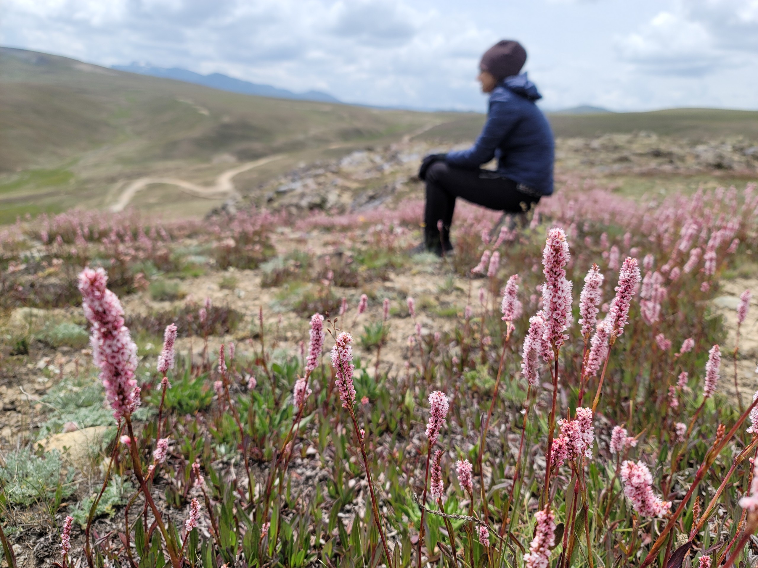 Hiker in Deosai, Pakistan