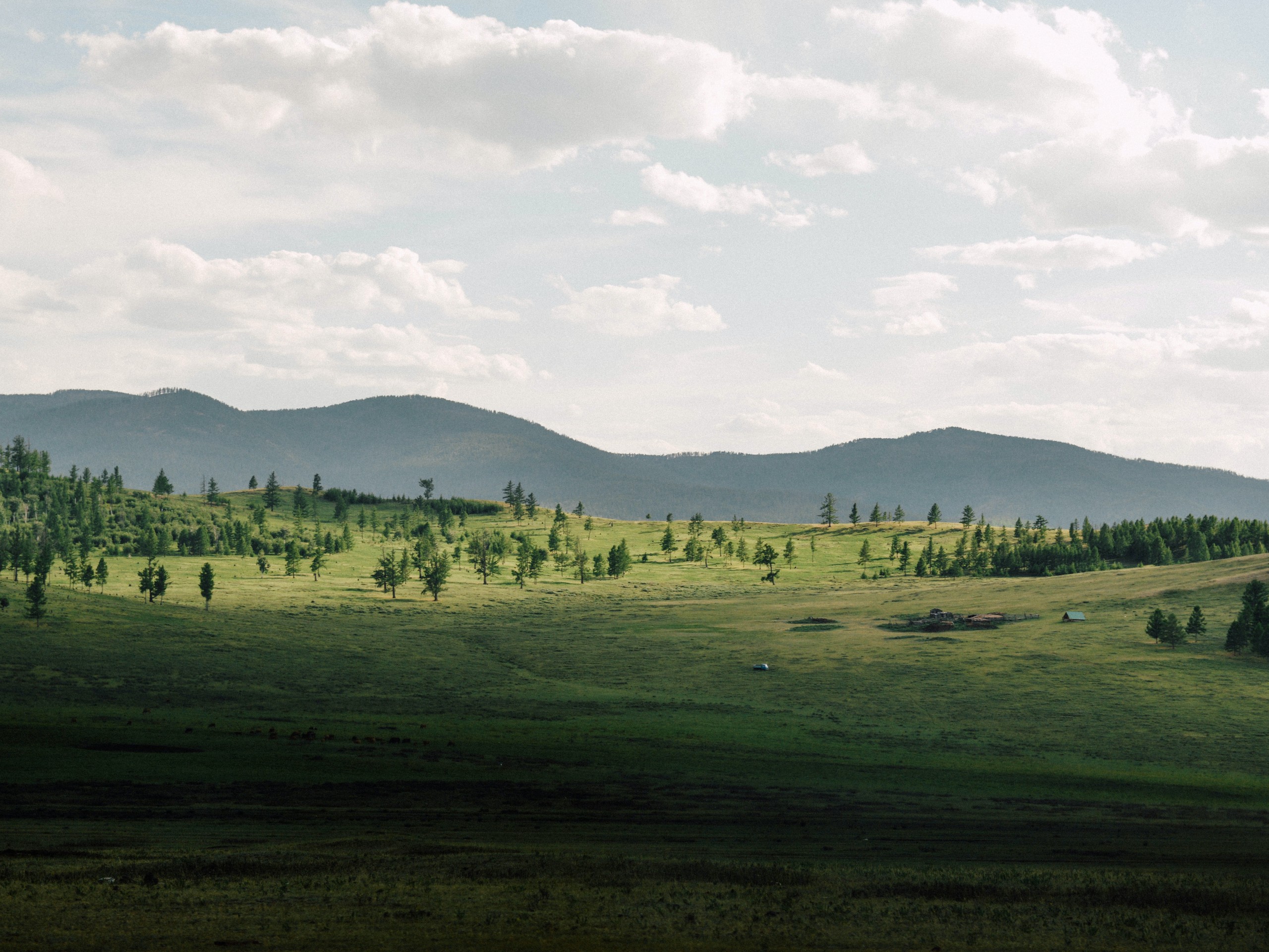 Mongolian Countryside