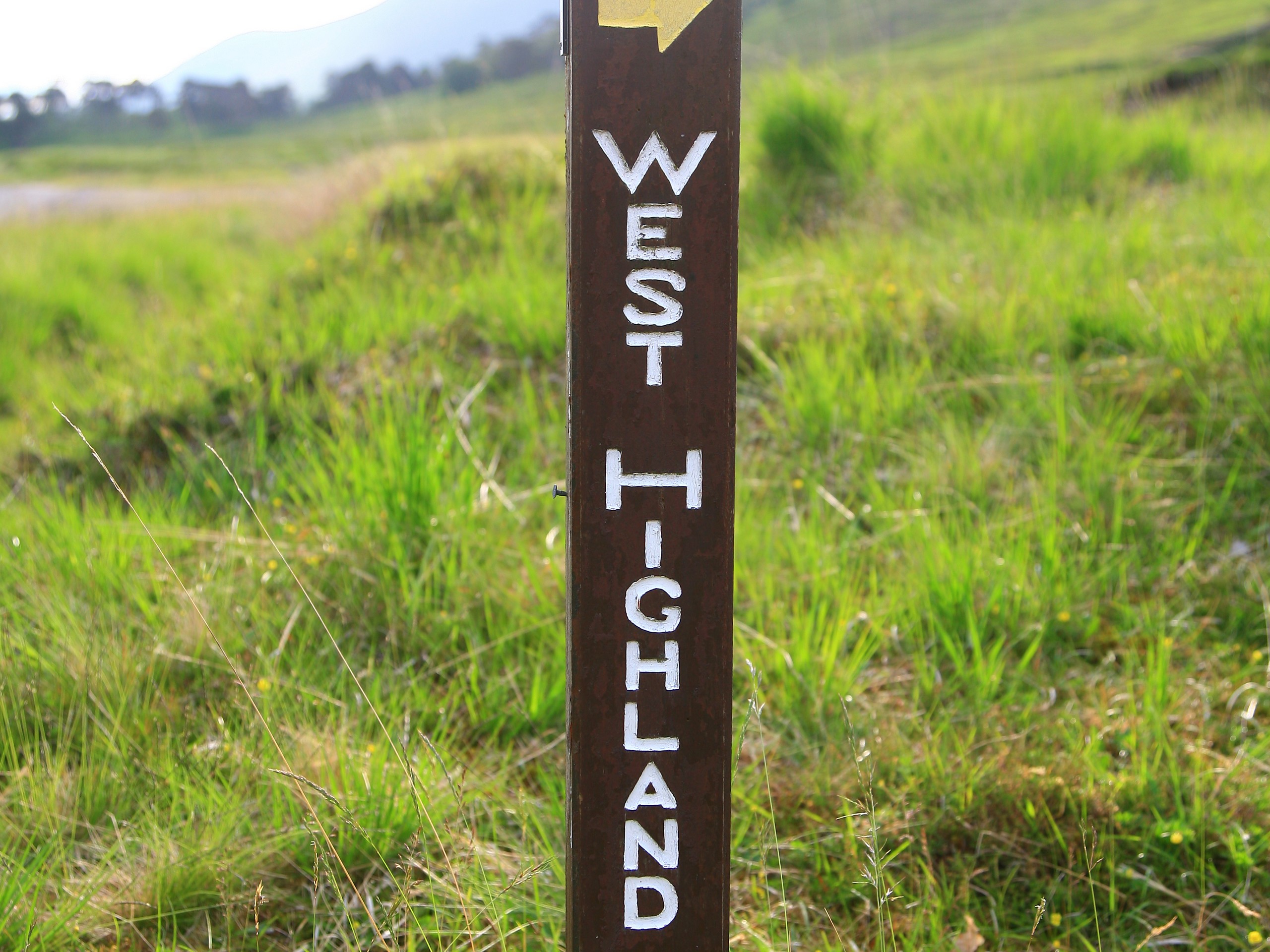 West_Highland_Way_Finger_Post-original (c)John Millen