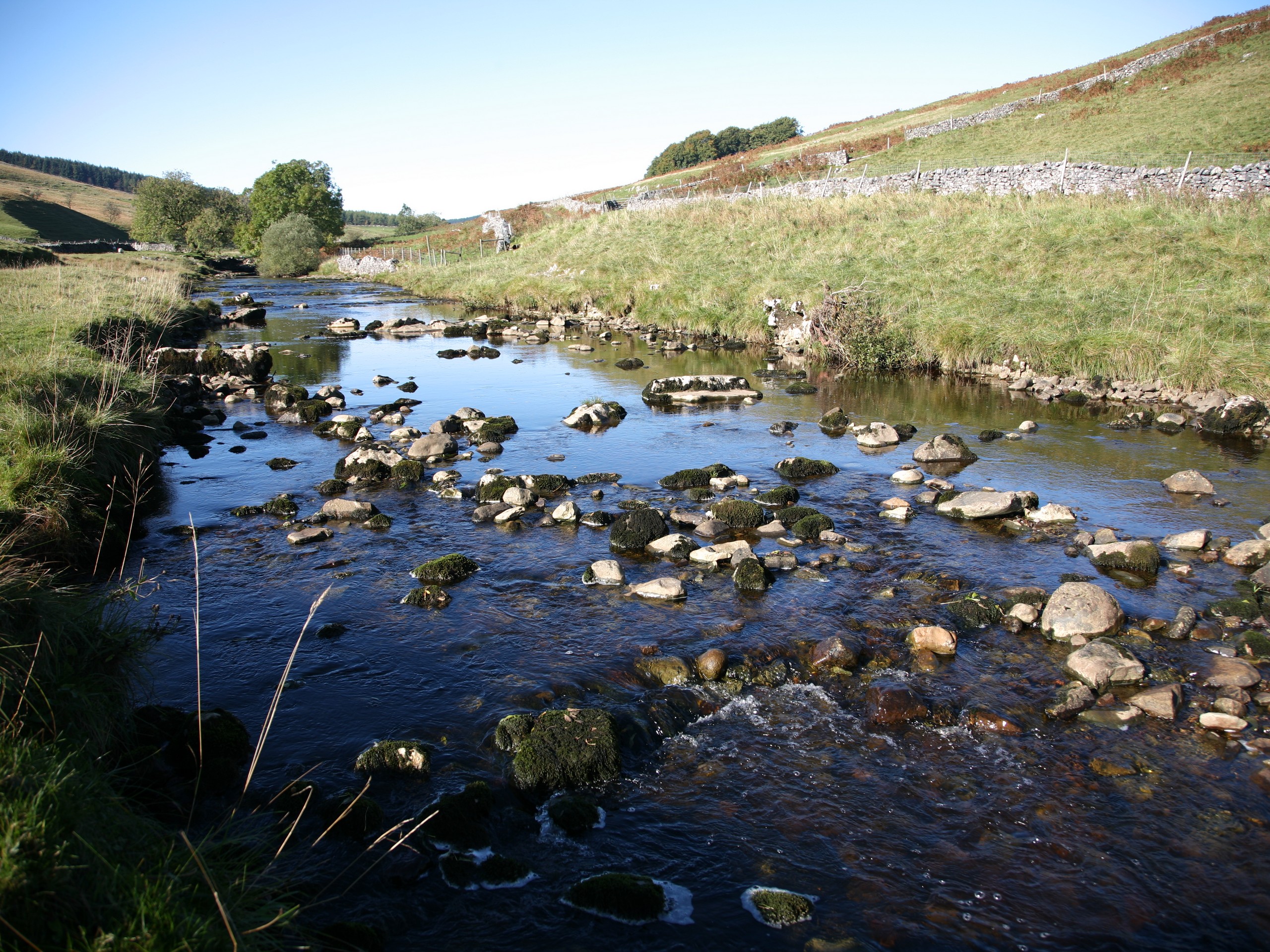 The Upper Wharfe (c)John Millen