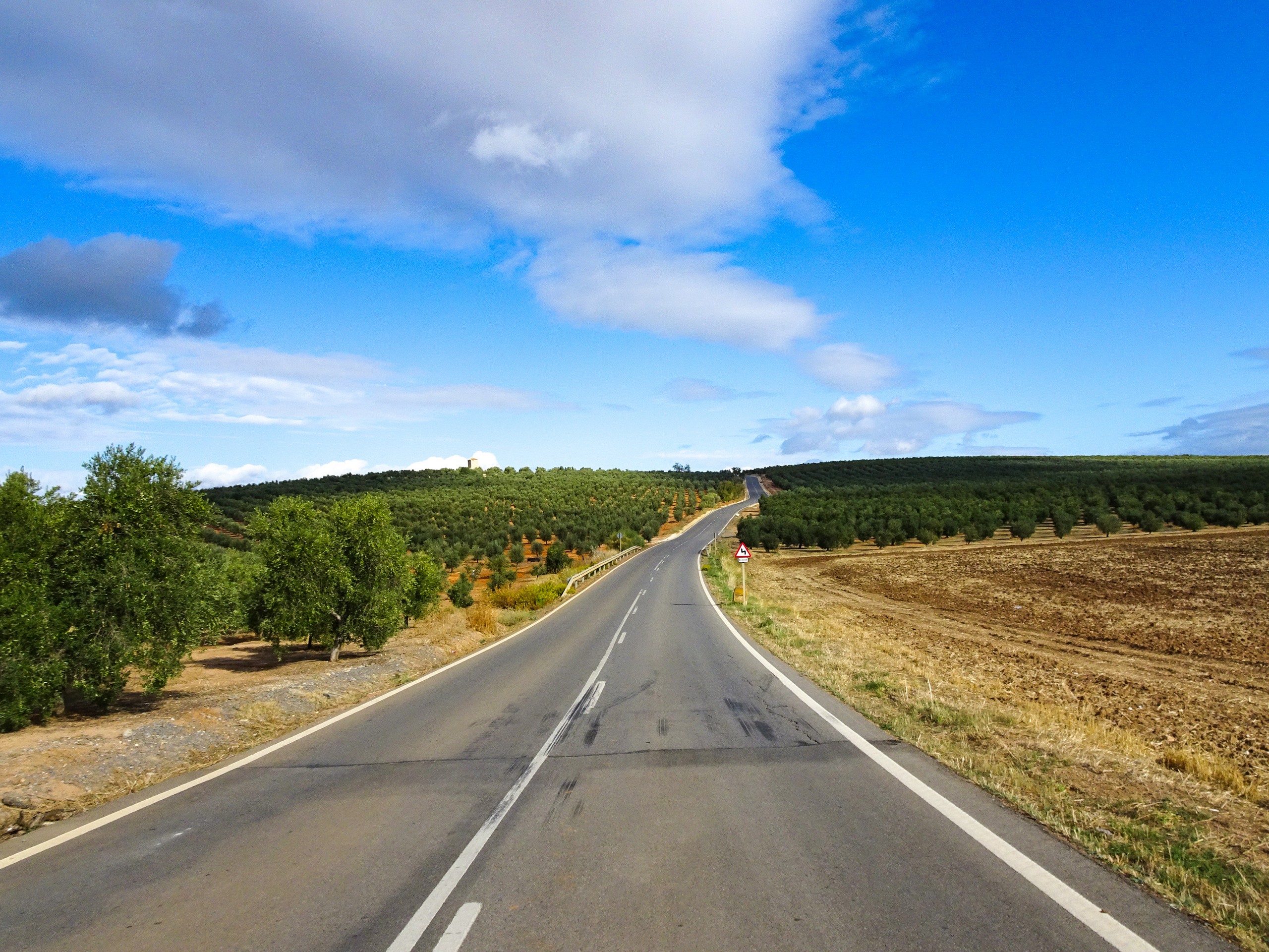 Olive gardens along the biking route in Andalusia