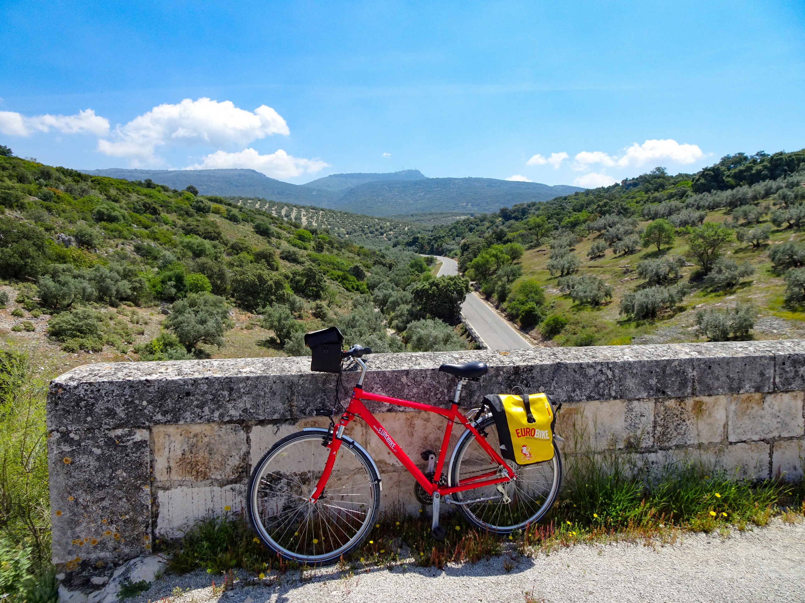 Bike parked on a bridge with beautiful views