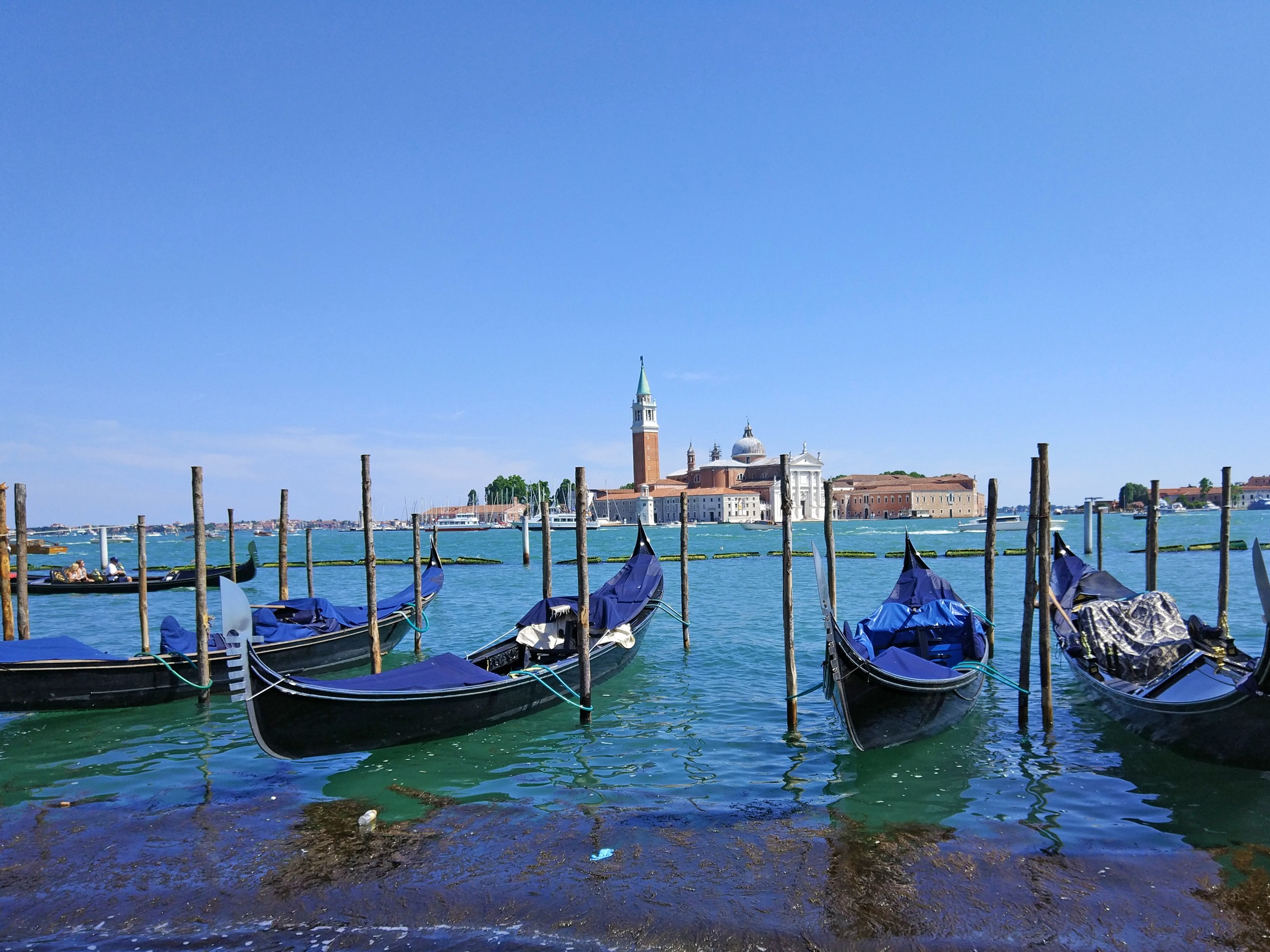 Boats lined up in a small marina in Venice