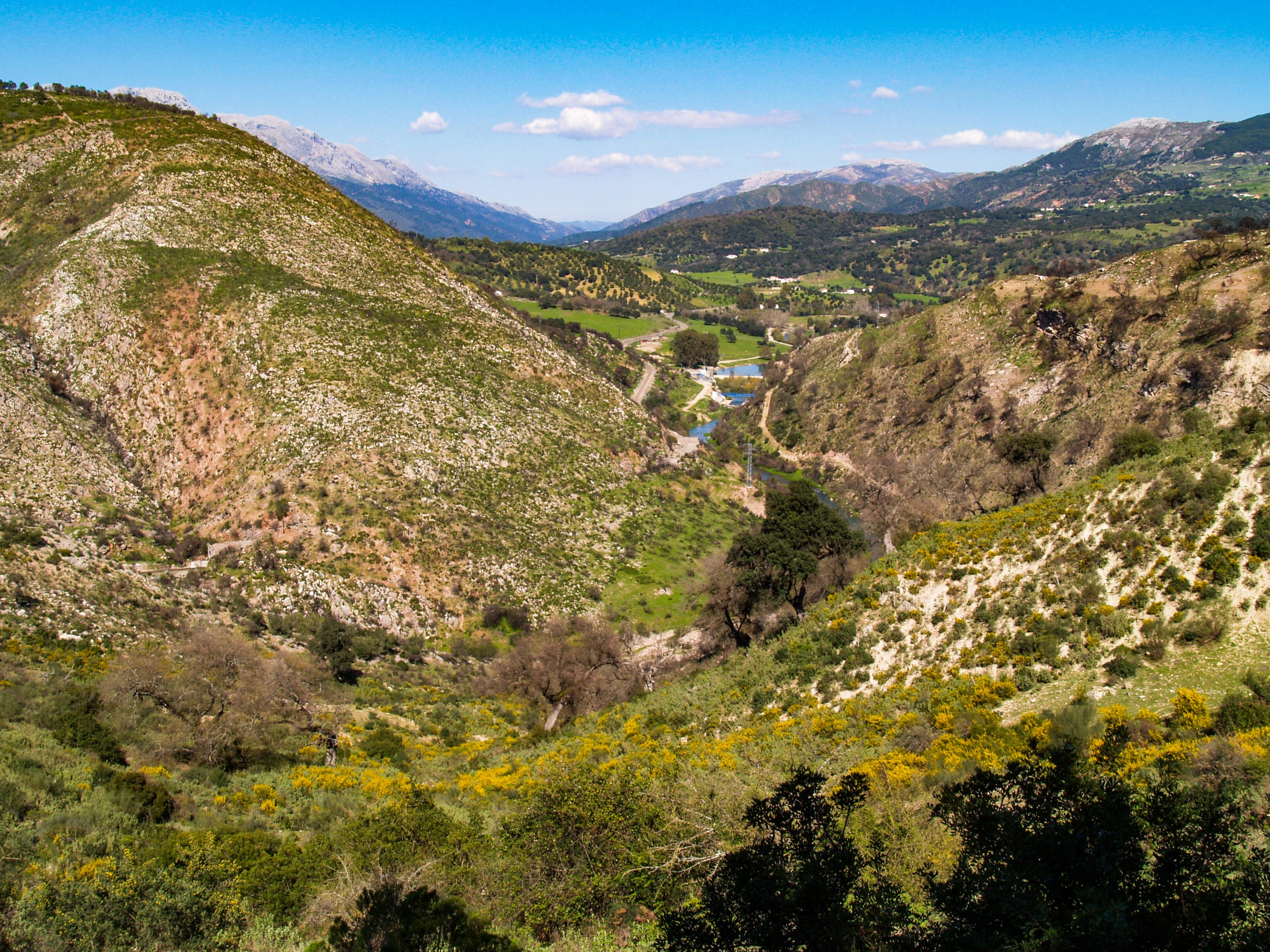 Landscape of Andalusia