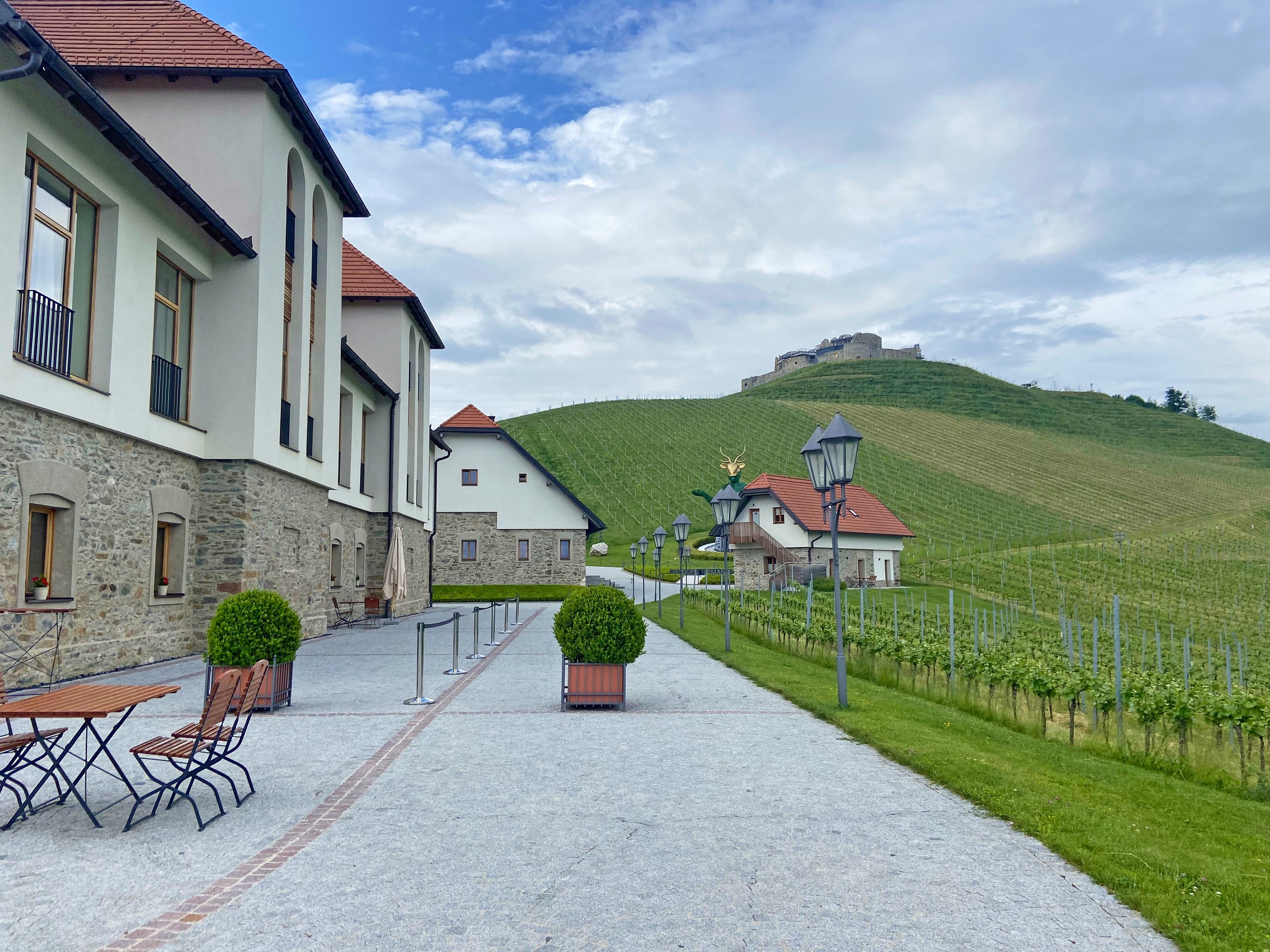 Beautiful green pastures in Austrian Countryside