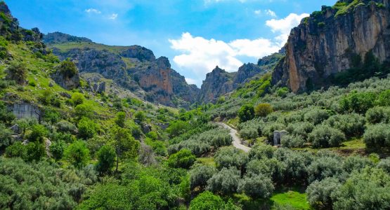 Cycling the hilly road in Andalusia