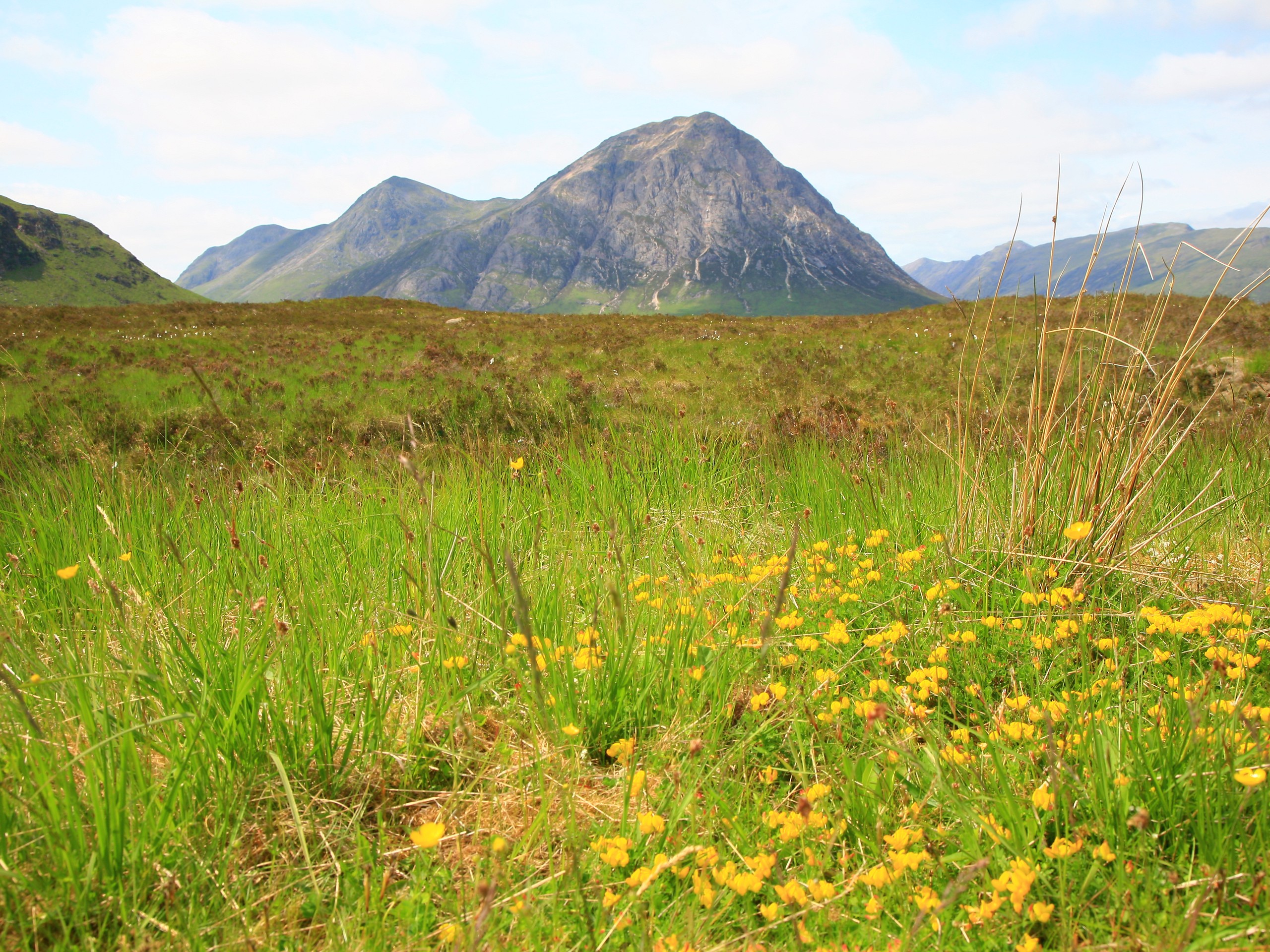 Buachaille Etive Mor (c)John Millen