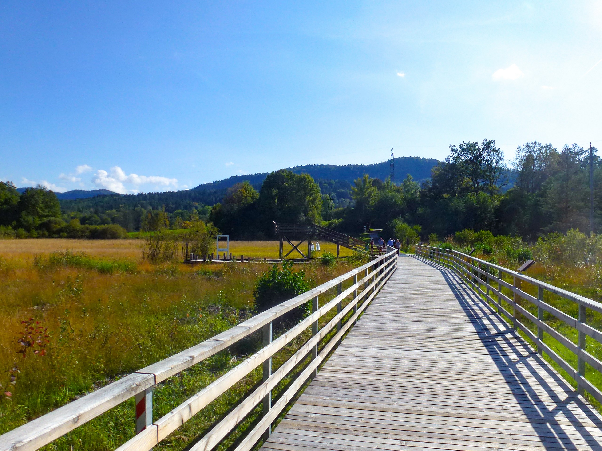 Biking the path in Austrian Countryside