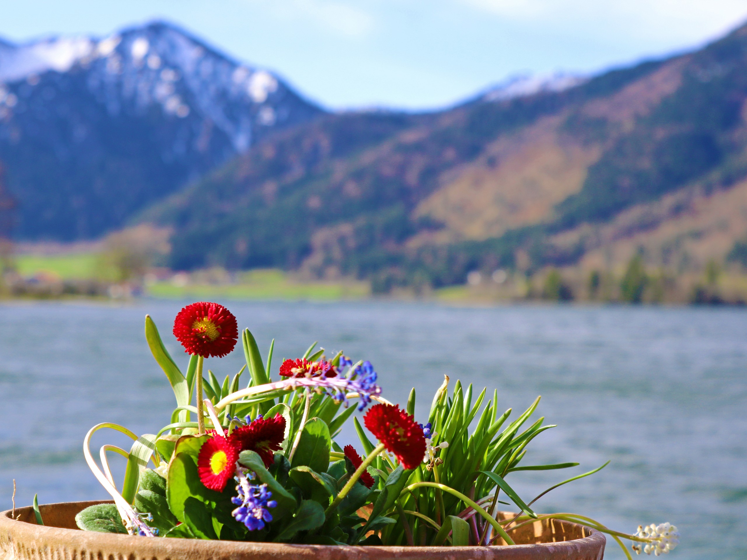 Lake and flower views seen while biking in Bavaria