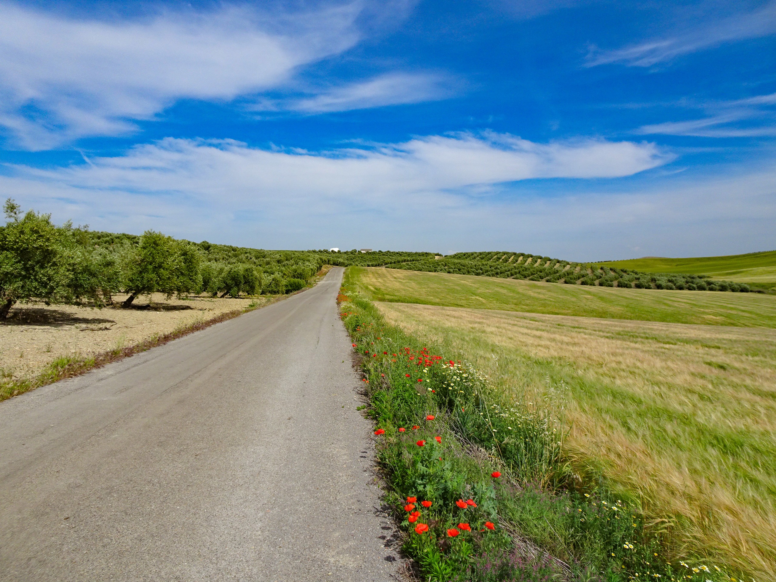 Landscape along the cycling route to Cordoba