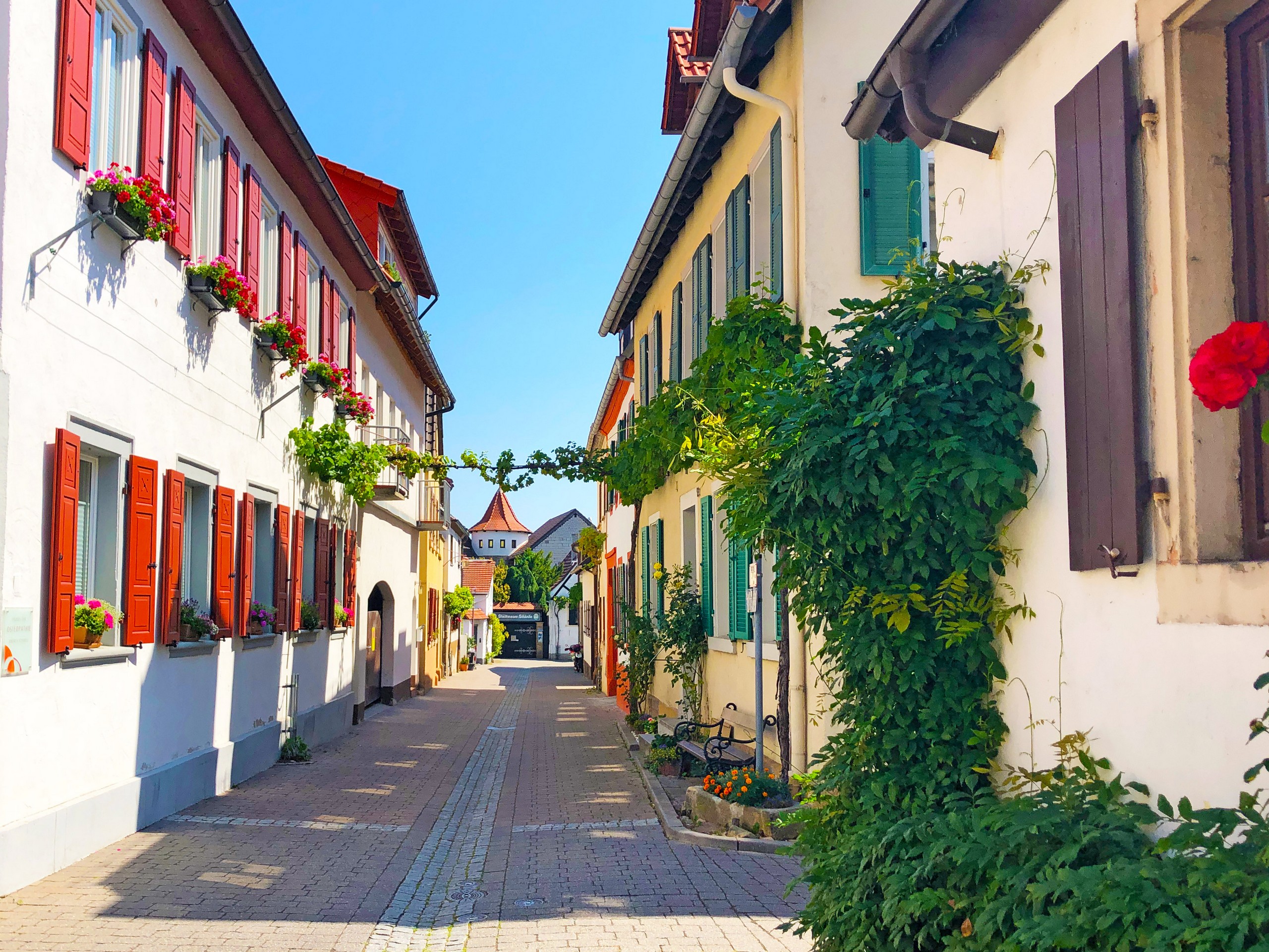 Narrow street in a town of Rhine