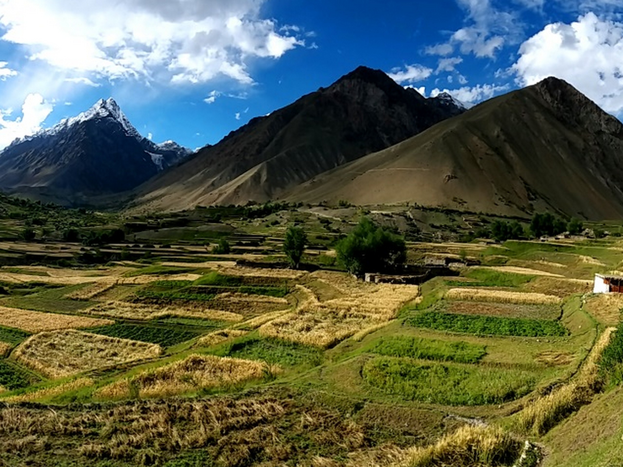 Thallay Fields, Pakistan