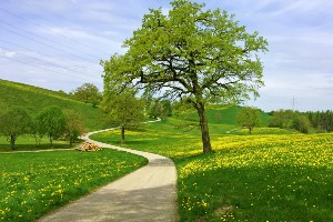 Bavarian Lakes Cycling Tour