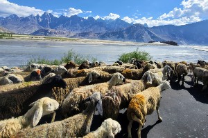 The Grand Traverse of Baltistan