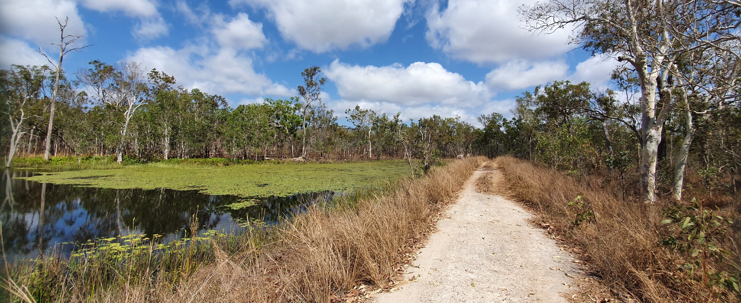 North Queensland Birdwatching Tour