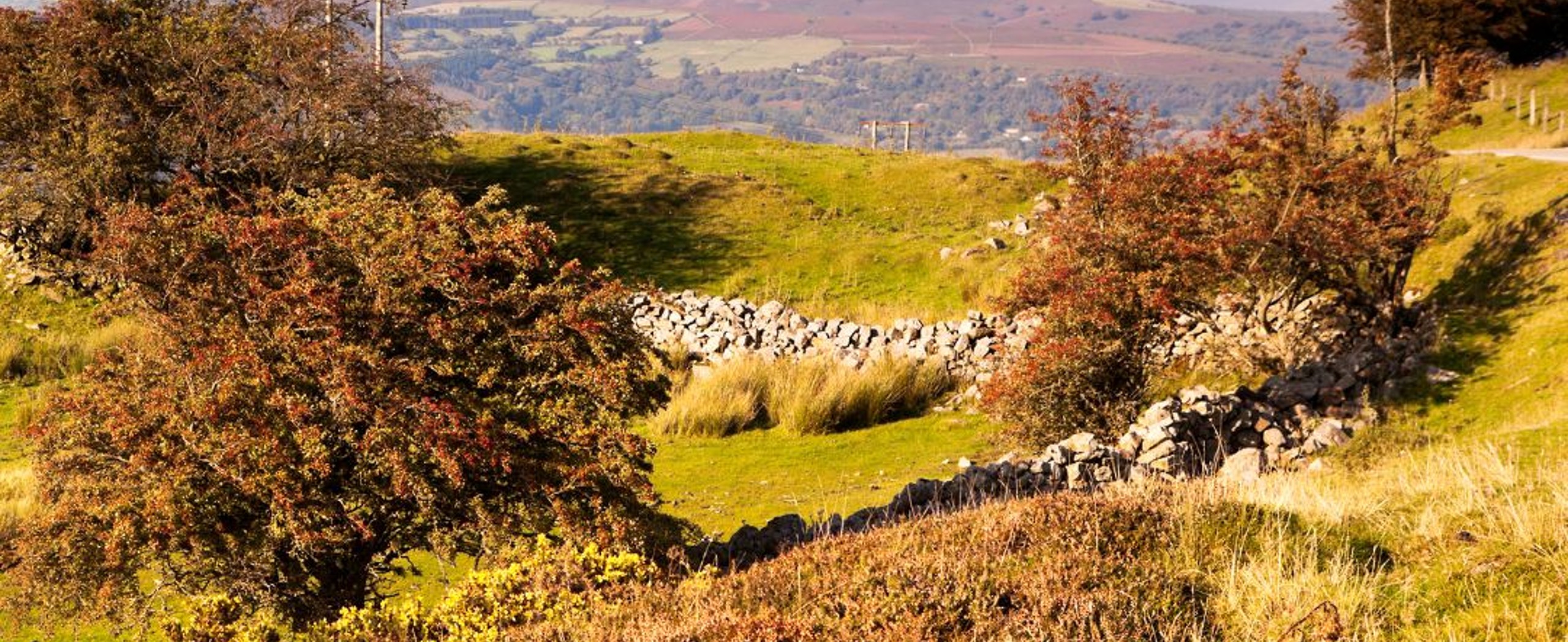 Three Castles of Wales Walking Tour