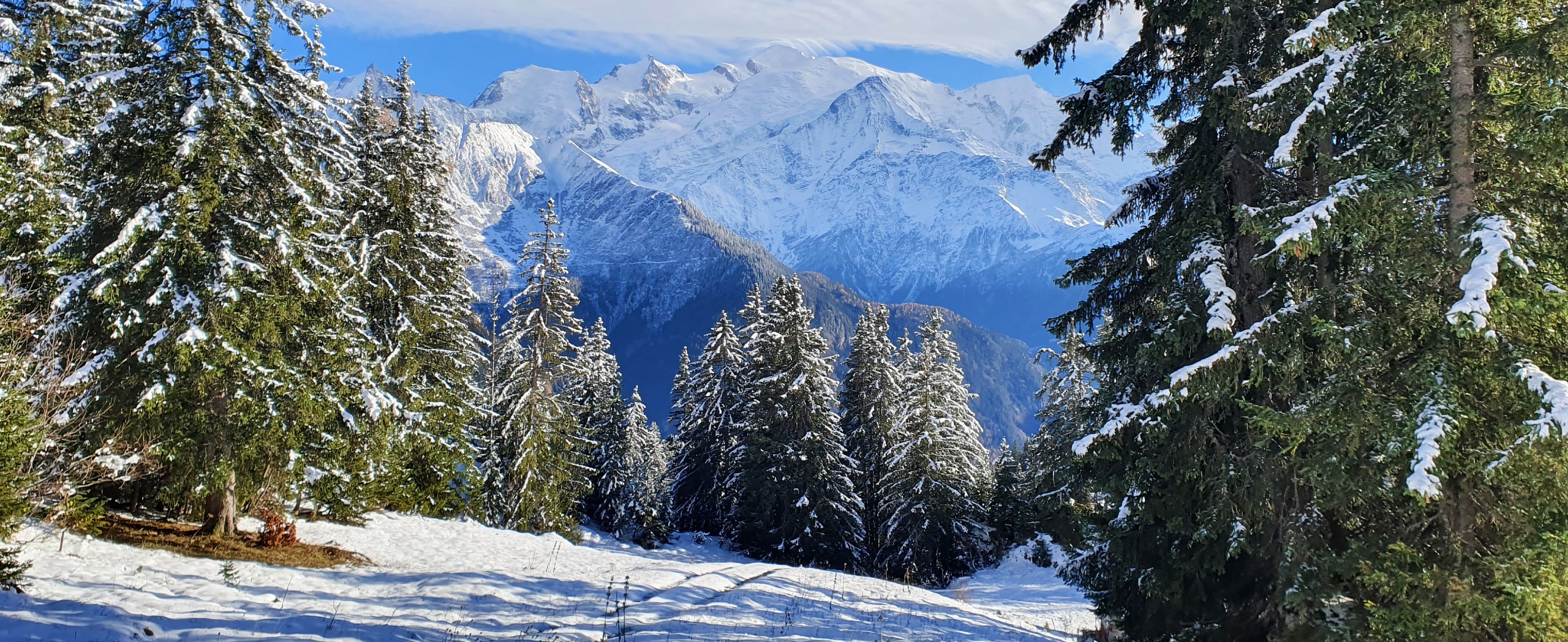 Mont Blanc Snowshoeing Tour