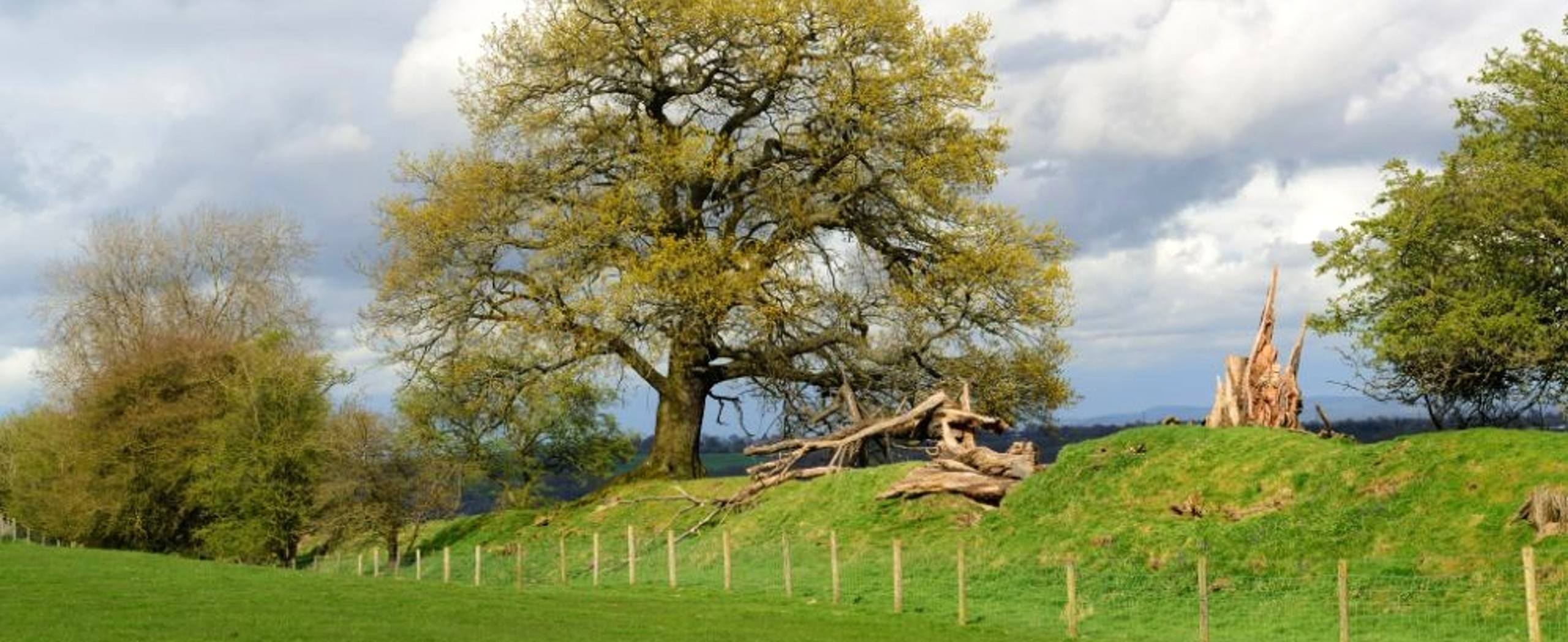 Offa's Dyke Complete Walk