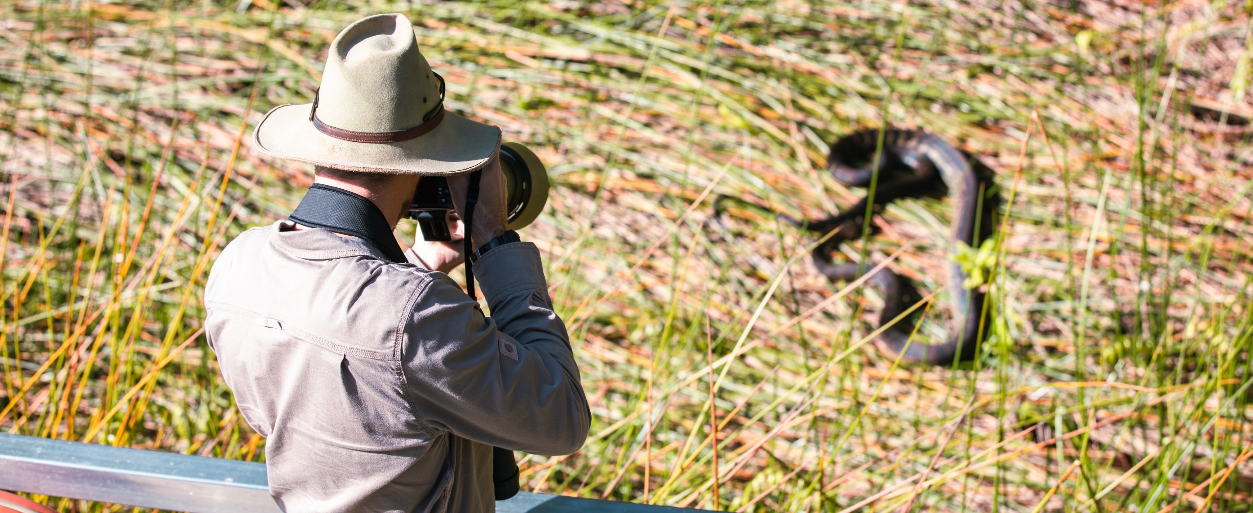 Queensland Wildlife Photography Tour