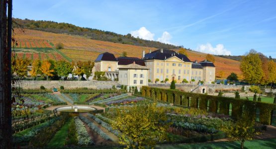 Beaujolais by Bike