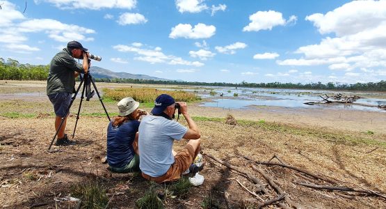 North Queensland Birdwatching Tour