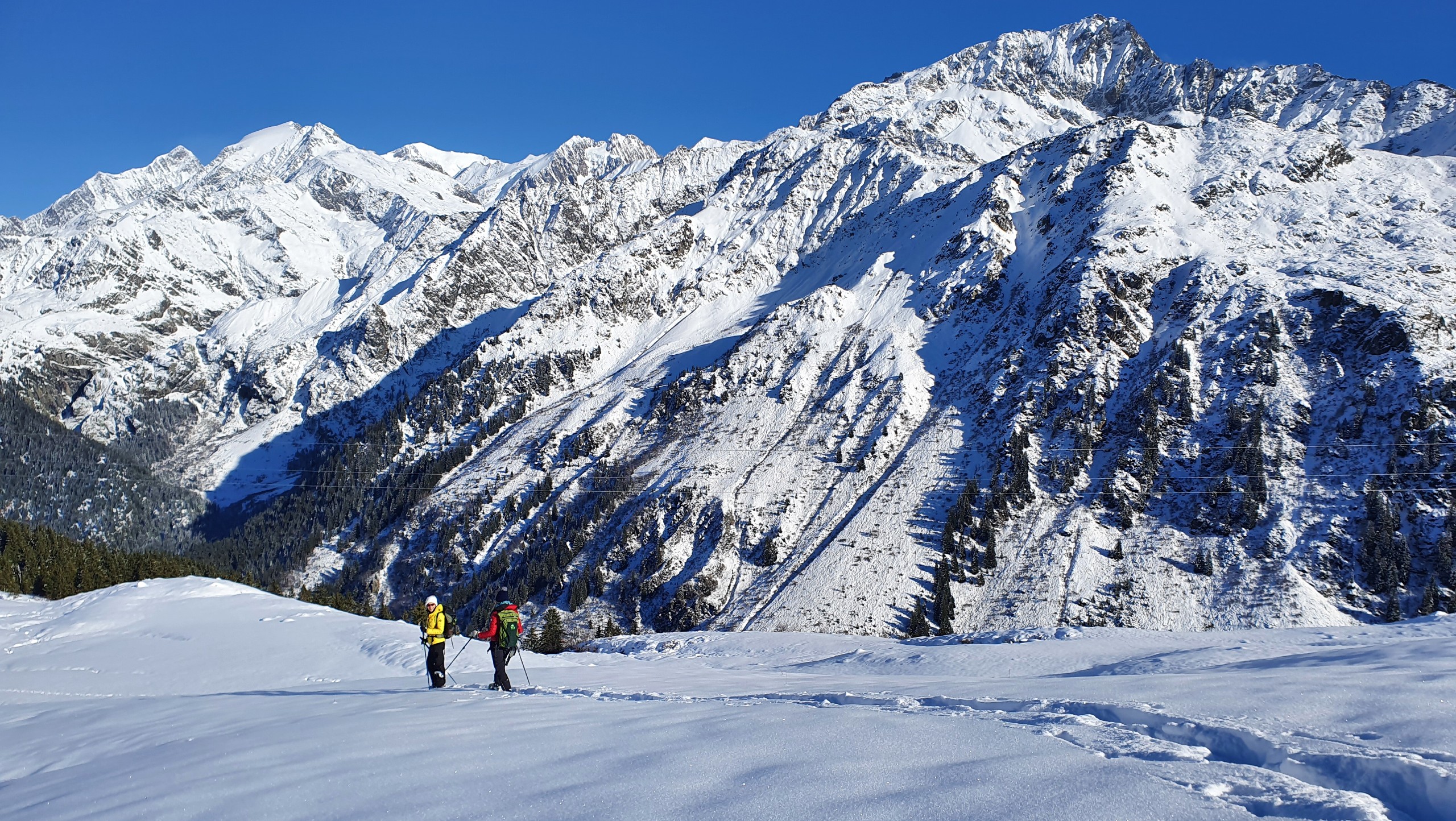 Mont Blanc Snowshoeing Tour