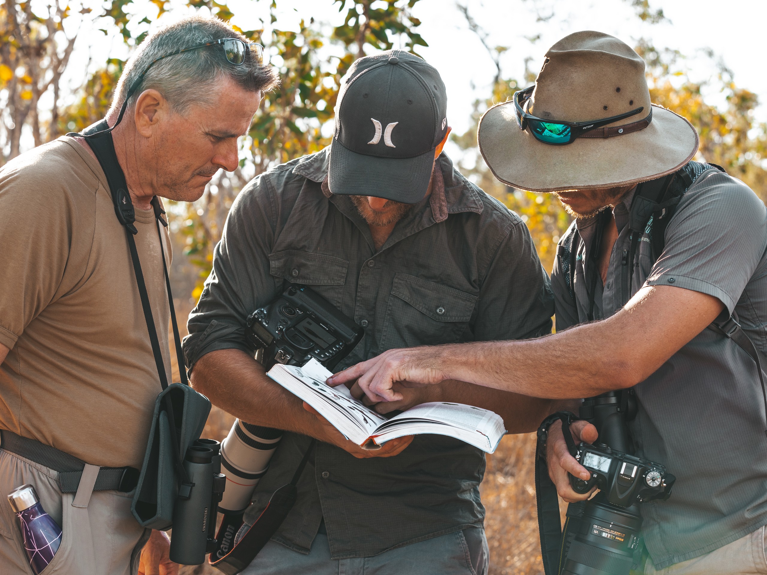 Birdwatching in North Queensland with a guided group 01