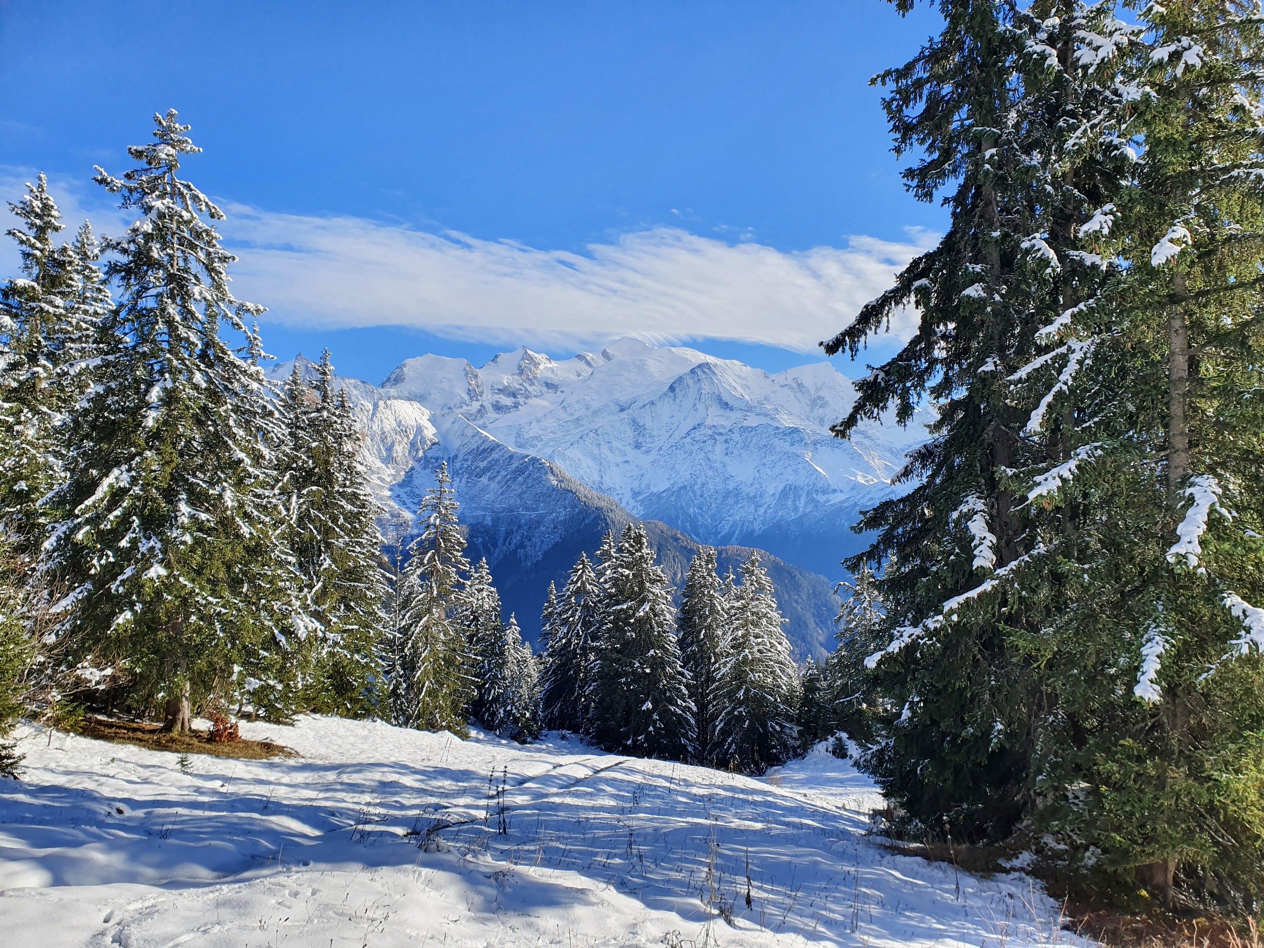 Powdery Alps in the Mont Blanc region, France
